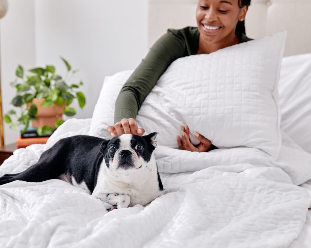 Original Weighted Blanket
